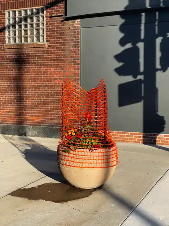 large round planter on a sidewalk in front of a brick building. It's wrapped in bright orange mesh and the sidewalk below appears wet from a recent watering