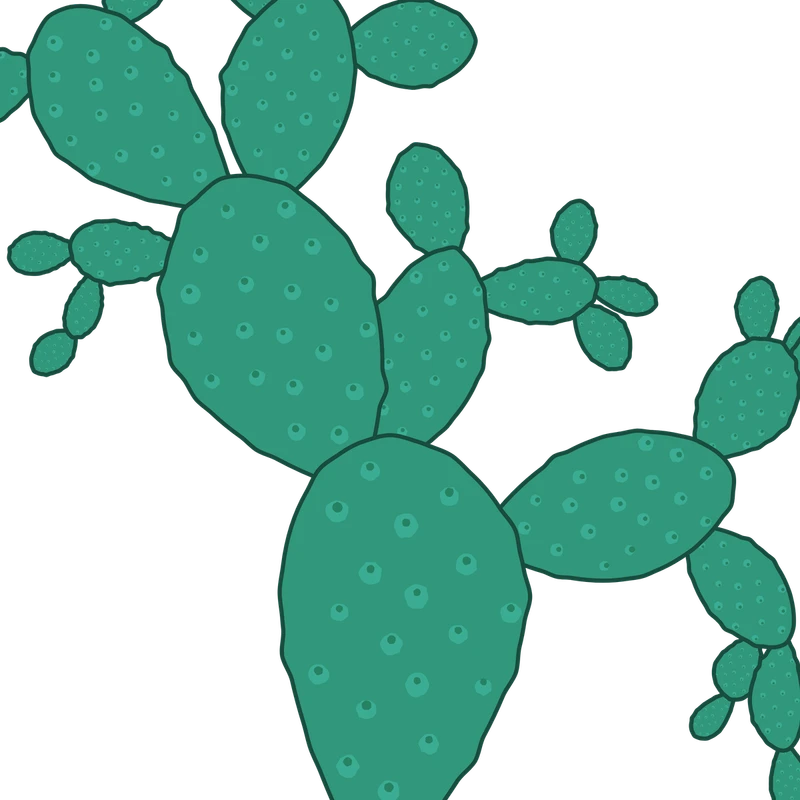 Illustration of prickly pear cactus