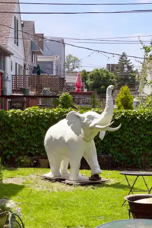 a white statue of an elephant with its trunk held high. It stands in front of a green hedge in the backyard of a row house with several other houses visible in the background.